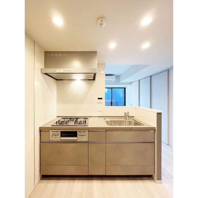 Livio Maison Higashi-Ikebukuro 205 - 287588