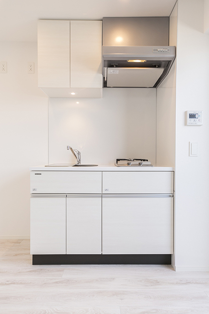 Lions Forcia Kiyosumishirakawa 1105 - 290170