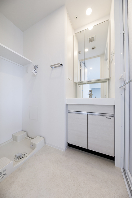 Lions Forcia Kiyosumishirakawa 1105 - 290173