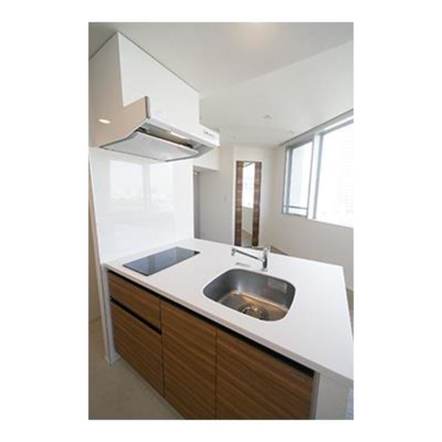 ＲＥＸ白金 1308 - 290408