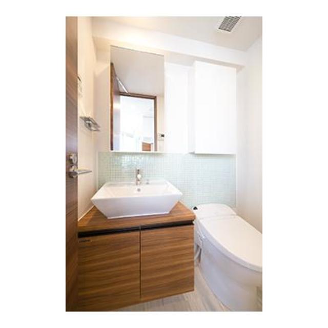 ＲＥＸ白金 1308 - 290407