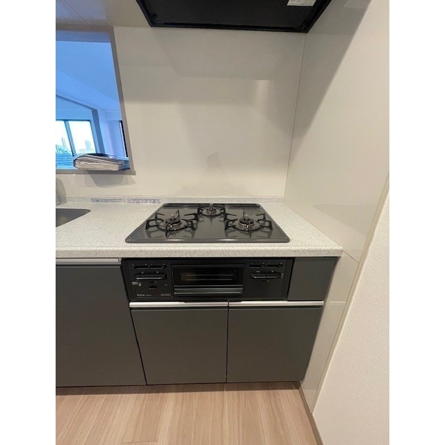 Alluge Ryogoku 1102 - 293487