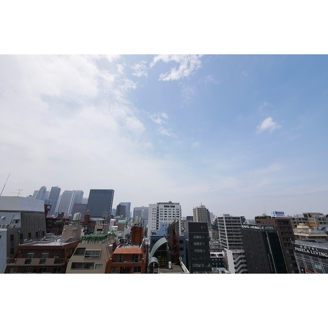 コンフォリア新宿イーストサイドタワー 1006 - 297072