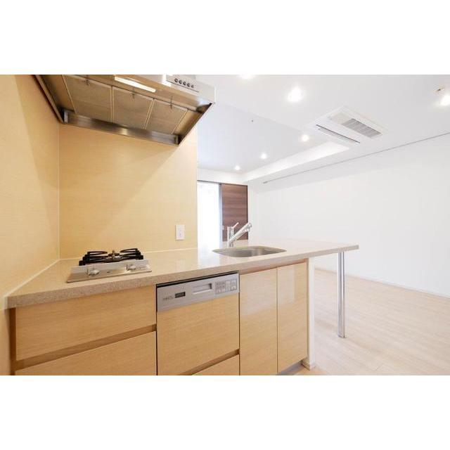 コンフォリア新宿イーストサイドタワー 1006 - 297068