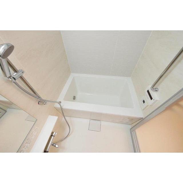 コンフォリア新宿イーストサイドタワー 1006 - 297071