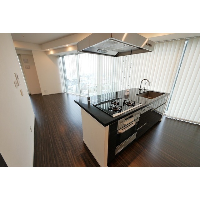 Conforia Shinjuku East Side Tower 2401 - 297128