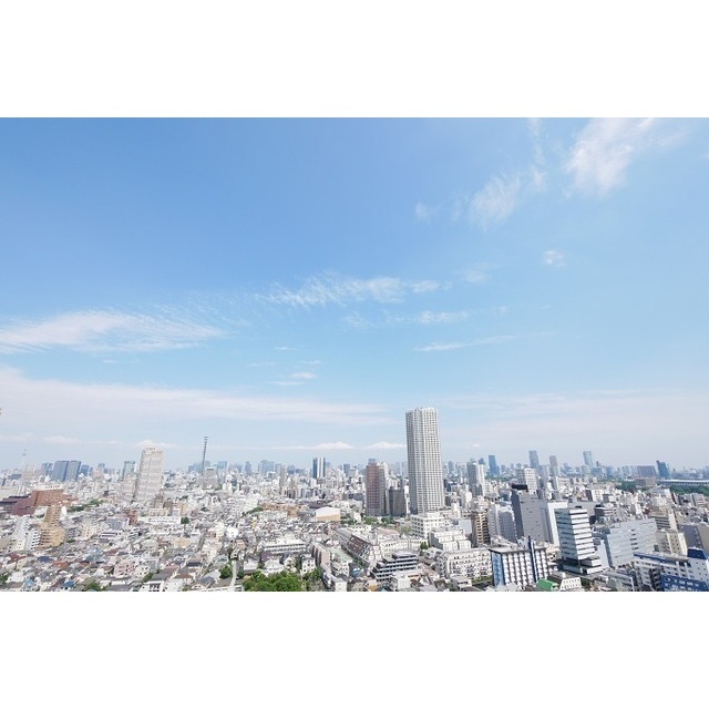 Conforia Shinjuku East Side Tower 2718 - 297143