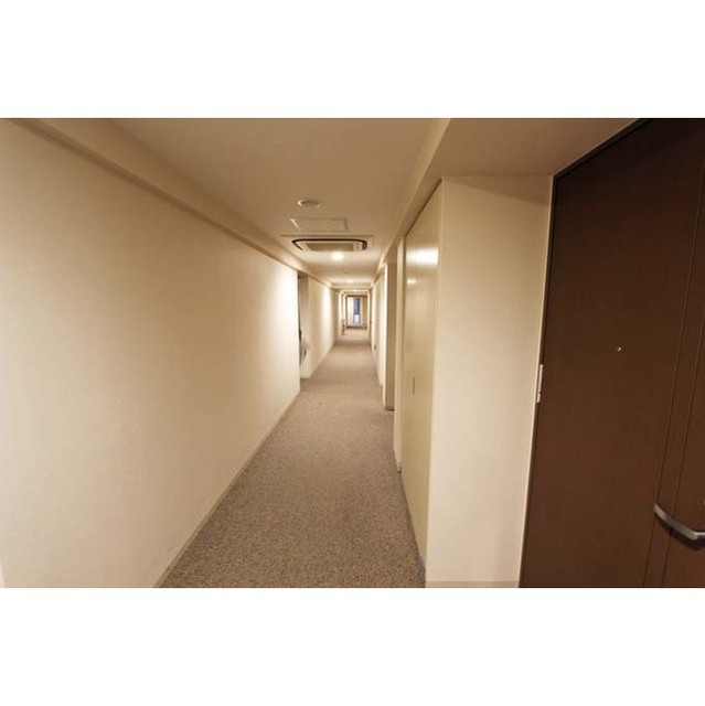 Conforia Harajuku 319 - 294699