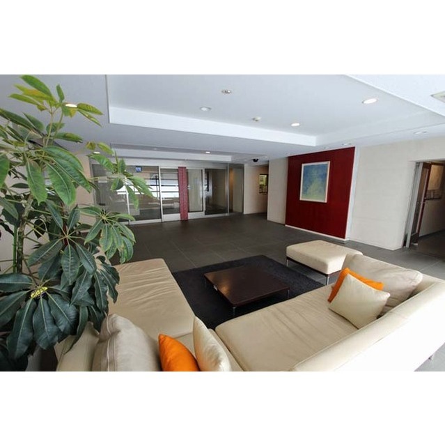 Conforia Harajuku 319 - 294698