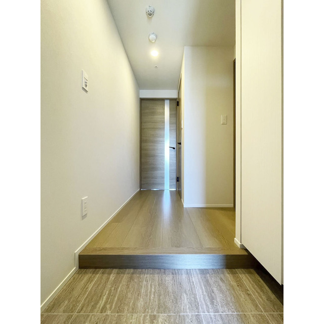 Ｐｒｉｍａ Ｓｔｅｌｌａ 1205 - 297575