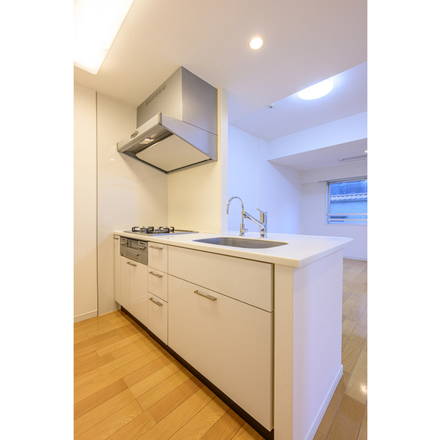 Rietto Court Yotsuya 202 - 296153