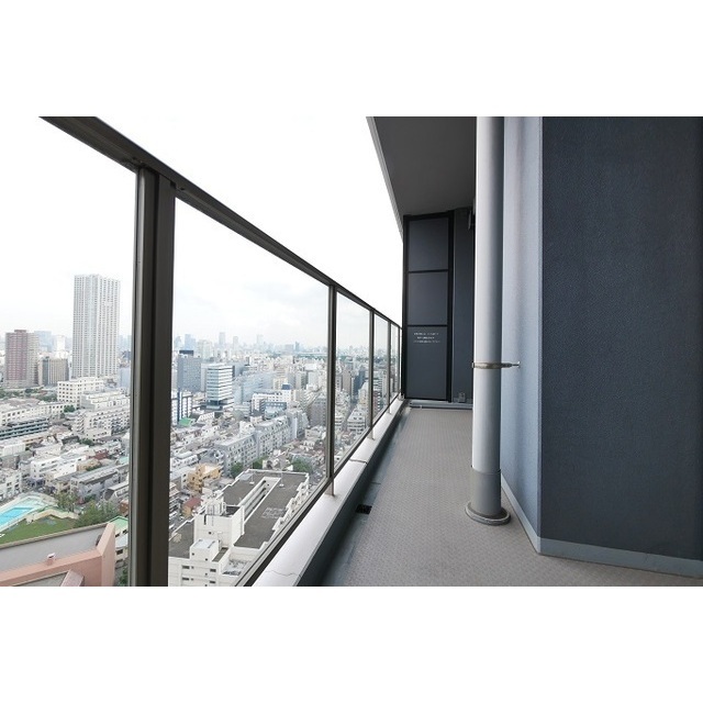 コンフォリア新宿イーストサイドタワー 2414 - 299861