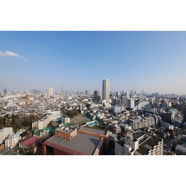 コンフォリア新宿イーストサイドタワー 2414 - 299863