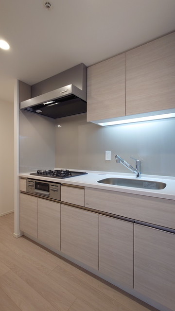 パークタワー勝どき サウス棟 1117 - 301769