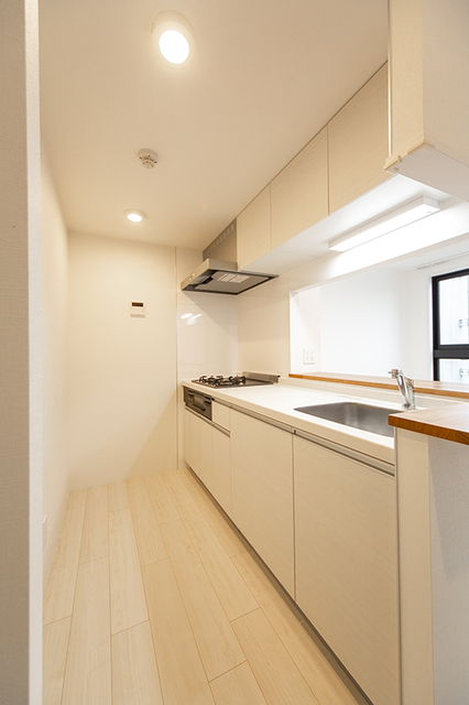 LAPiS Musashikoyama 401 - 300907