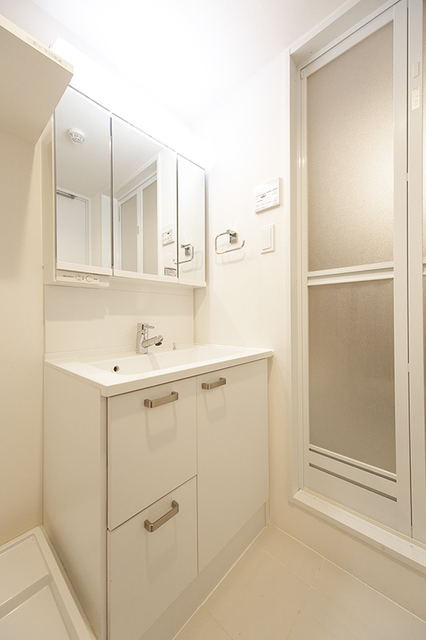 LAPiS Musashikoyama 401 - 300910