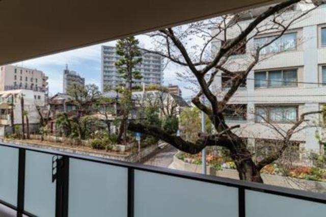 ＳＡＳＡＺＵＫＡ ＴＯＤＡＹ 216 - 304458