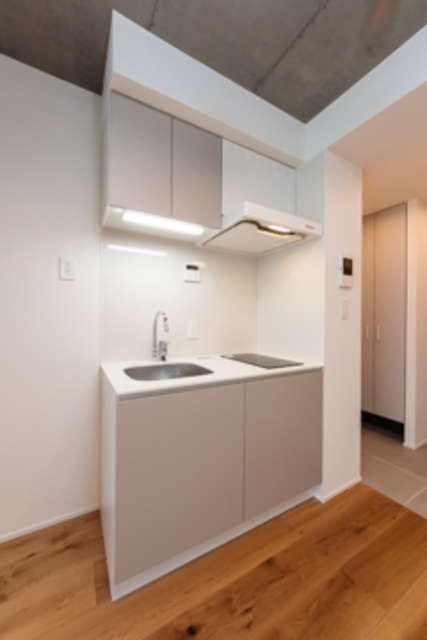 EDIT Ochanomizu Tsuma Koizaka 401 - 303228