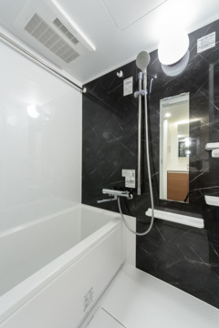 EDIT Ochanomizu Tsuma Koizaka 401 - 303229