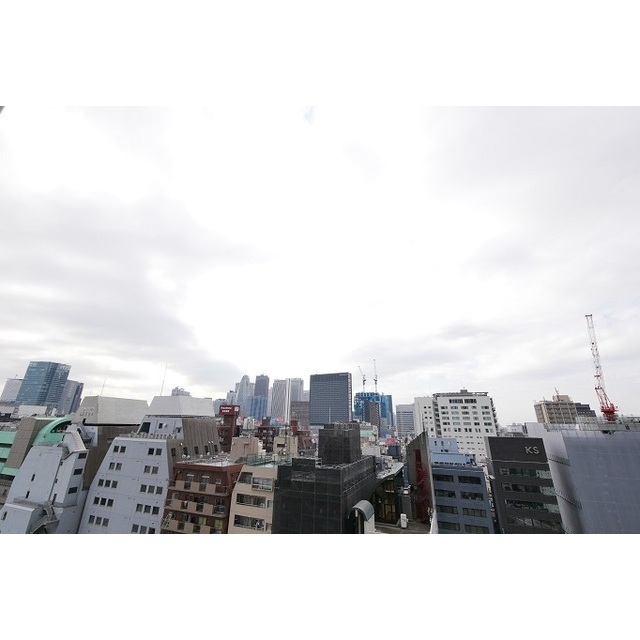 コンフォリア新宿イーストサイドタワー 1403 - 315508