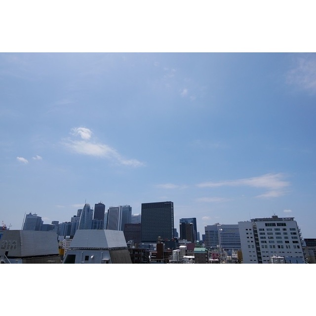 コンフォリア新宿イーストサイドタワー 1410 - 315519