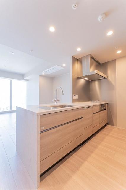 SHIROKANE The SKY E棟 3013 - 308753