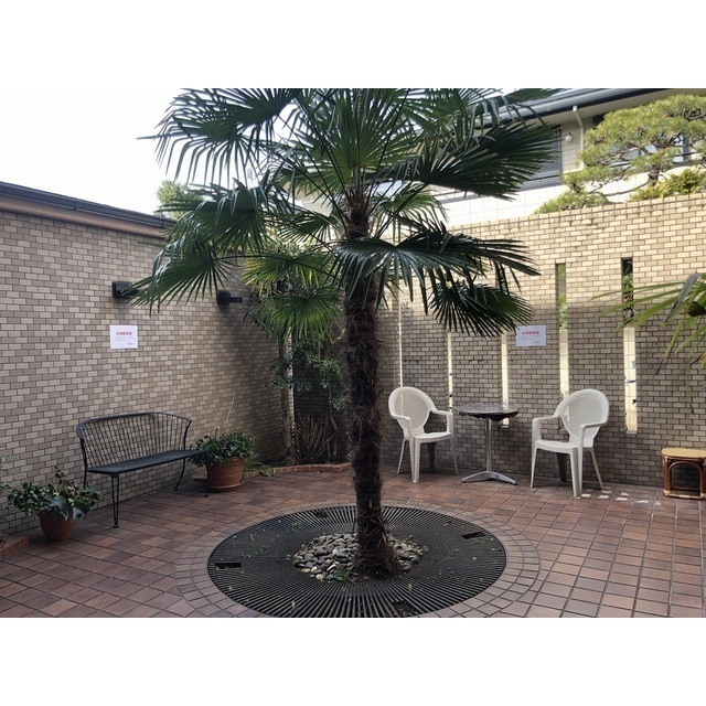 Urban Donneur 210 - 308803