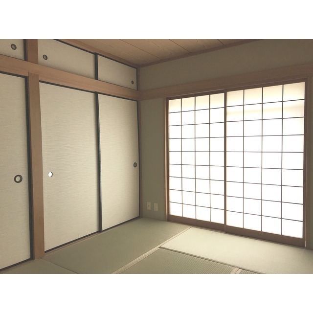 Urban Donneur 210 - 308806