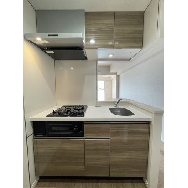 Alpha Court Tokiwa-dai 3 102 - 308923