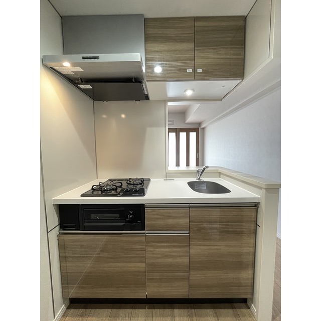 Alpha Court Tokiwa-dai 3 306 - 308953