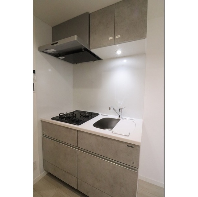 ウェルスクエア錦糸町ＳＯＵＴＨ 503 - 313929