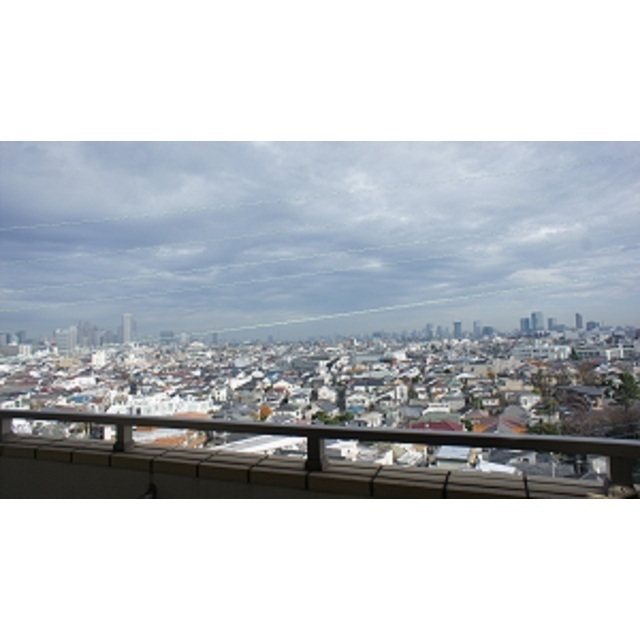 コンフォリア下北沢 906 - 315441