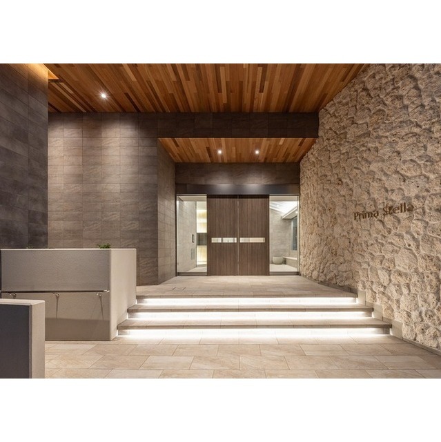 Prima Stella 801 - 323544